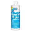 In The Swim Algaecide 60 Plus for Swimming Pools -