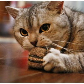 Natural Silvervine Cat Chew Toy | Interactive Silver Vine Chewing Toys with Catnip Like Effect - Trio Hamburger & Ball, 2 Packs of 3