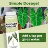 Alocasia Fertilizer, Complete Liquid Alocasia Plant Food, 8 oz (250mL)