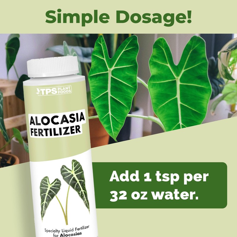 Alocasia Fertilizer, Complete Liquid Alocasia Plant Food, 8 oz (250mL)
