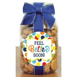 Nam's Bits Chocolate Chip Cookies - "Get Well Soon" Quart Jar (PDFBS)