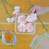 Flower Drying Crystals DRYFLO15, 1.5-Pounds / 0.68 KG of Silica