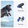 Tractive LED Light Up Dog Collar USB Rechargeable Waterproof (Blue),