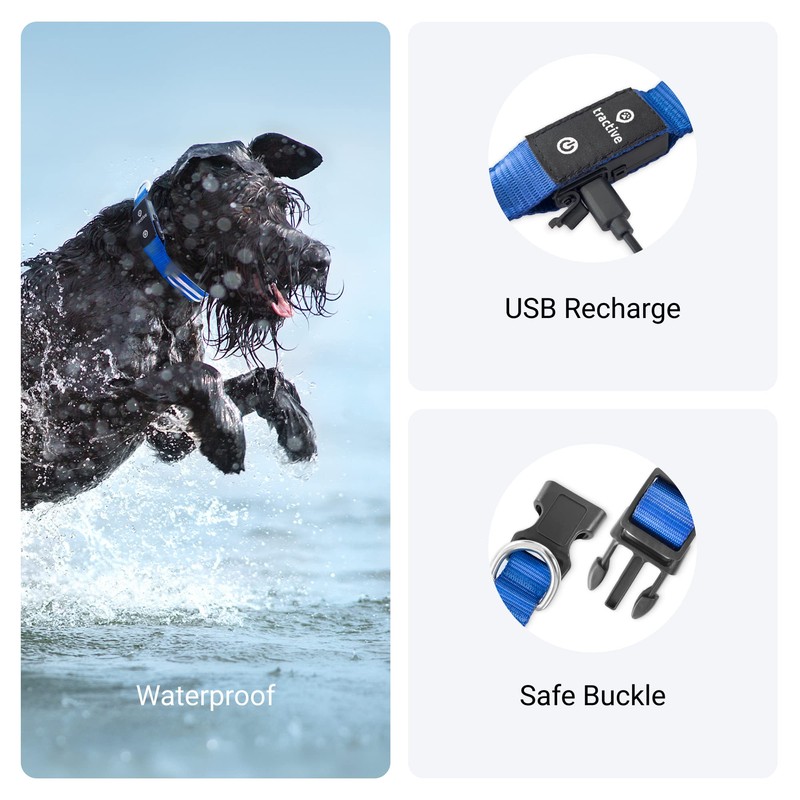 Tractive LED Light Up Dog Collar USB Rechargeable Waterproof (Blue),