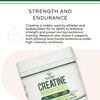 Creatine Monohydrate Powder 1.1lbs (100 Servings of 5 Grams Each)