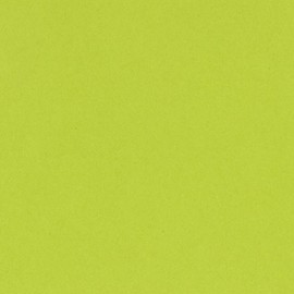 Bazzill Basics T5-5152 Card Shoppe Heavy Weight Cardstock, Juicy Pear, 25 Sheet Pack, 12 x 12 Inches