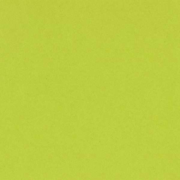 Bazzill Basics T5-5152 Card Shoppe Heavy Weight Cardstock, Juicy Pear,