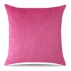 Artscope Luxury Velvet Cushion Covers Decorative Square Pillowcases Soft Solid