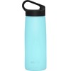 CAMELBAK Unisex - Adult Water Bottle-08191587 Water Bottle, Ice, One