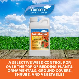 Monterey Grass Getter Bundled with Measuring Spoon - Selective Post Emergent Herbicide - Kills Weedy Grasses, Sethoxydim Herbicide - 8oz