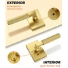 Probrico Brushed Gold Privacy Door Handle, Knurled Lever, Heavy Duty