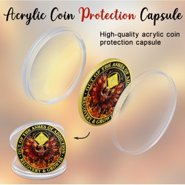 CHURYUML 7 Year NA Medallions Phoenix Recovery Chip Out of The Ashes of Addiction NA Sobriety Coin Narcotics Anonymous Gifts Sobriety Addiction Recovery Gifts Narcotics Anonymous Coin
