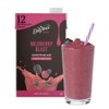 DaVinci Gourmet Wildberry Blast Smoothie, 48 Fluid Ounces (Pack of