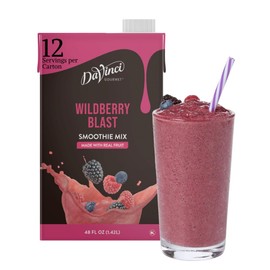 DaVinci Gourmet Wildberry Blast Smoothie, 48 Fluid Ounces (Pack of 1)