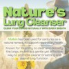 NEW Mullein PuffBar Lung Detox Chewer with Essential Oils for