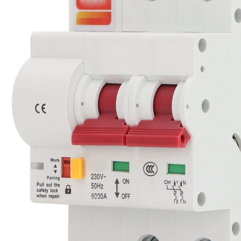 WiFi Smart Circuit Breaker AC 2 Poles Switch Automatic Reclosing