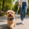 Collar y Correa para Perro con diseño Oficial FIFA –