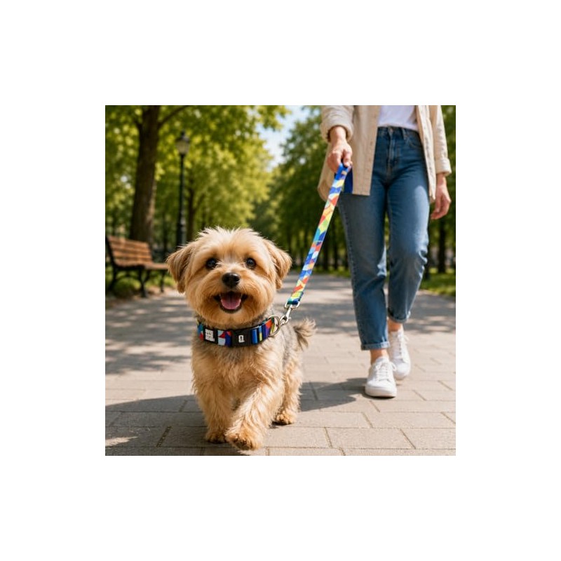 Collar y Correa para Perro con diseño Oficial FIFA –