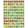 100 Assorted Heirloom Vegetable Seeds 100% Non-GMO (100, Deluxe Assorted