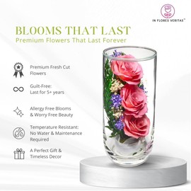 In Flores Veritas | Fresh Cut Preserved Roses in a Sealed Glass Vase | Long Lasting Bouquet Stays Fresh for 5+ Years | No Water Needed | Allergy Free | Unique Present Gift (Grace Pink)