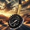 Tire Pressure Gauge 100PSI