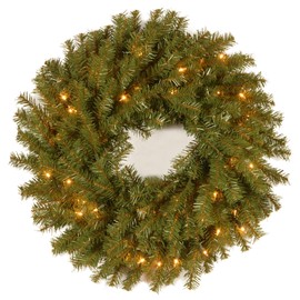 National Tree Company 20" Norwood Fir Wreath with Clear Lights, Green