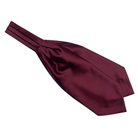 Burgundy Red Woven Cravat Self Ascot Solid Color Ties Engagement Gifts for Men