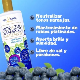 Duo Nekane Shampoo Y Mascarilla Mora Azul Matizante                                                                                                   