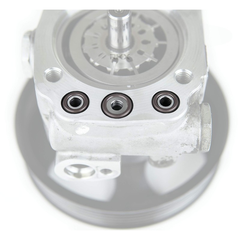 RKX Power Steering Pump Rebuild Kit Seals Compatible with Volvo