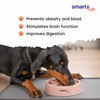 Smarty Life - Interactive Windmill Slow Feeder Bowl - Dog