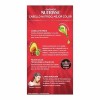 Garnier 3 PACK - GARNIER NUTRISSE 5562 TINTE PARA CABELLO