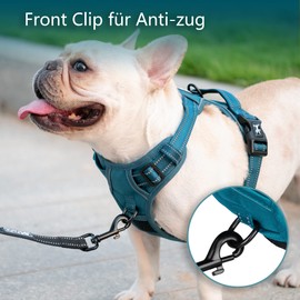 PoyPet No Pull Dog Harness, Reflective Dog Harness for Dogs without Choking, Adjustable Soft Padded Pet Vest with Easy Operation Handle (Tumalo Teal, M)