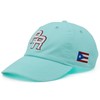 Puerto Rico PR Flag Hat Dad Embroidered Cap Baseball Curved