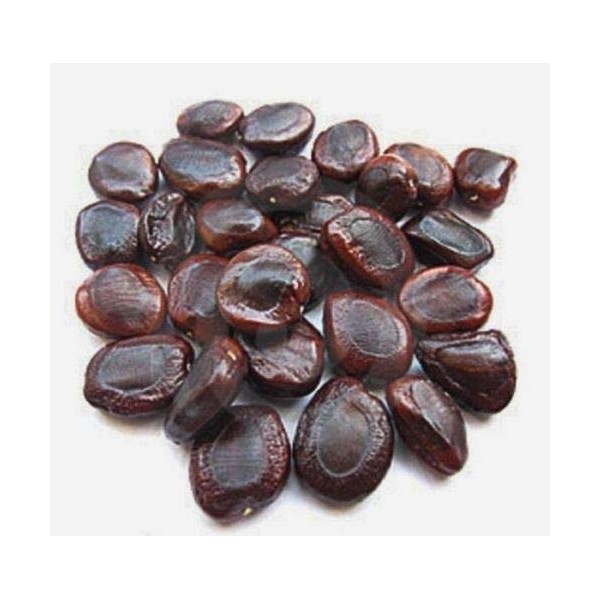 Tamarind Seeds Herbs and Spices Seasoning - 250 Grams