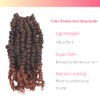 BOHOBABE Crochet Passion Twist Hair Pretwisted 10 Inch Short Pre-looped