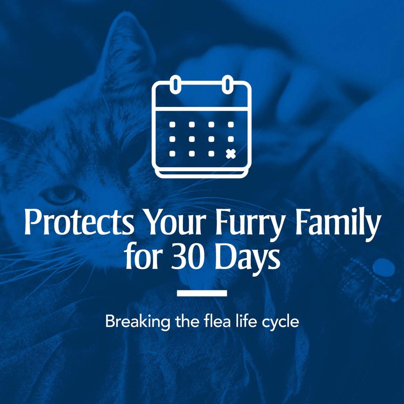 PetArmor Plus Flea & Tick Prevention for Cats with Fipronil