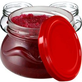 KADAX Small Mason Jars 300 ml, Miniature Jars for Honey and Spices, Jam Jars with Lids, Airtight Jars for Gifting (Red, Pack of 10)