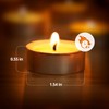 Ashlux Palm Tea Lights Candles 96 Pack, Non-Paraffin Unscented 4H
