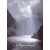 Shared Blessings Thoughts of Sympathy 24 Boxed Condolence Cards with