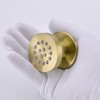 Solid Brass Body Spray Shower Jet - Round Massage Side