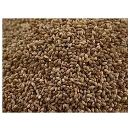 1 oz. Timothy Grass Seed Rabbit Wildife Grass Seed Food Plot