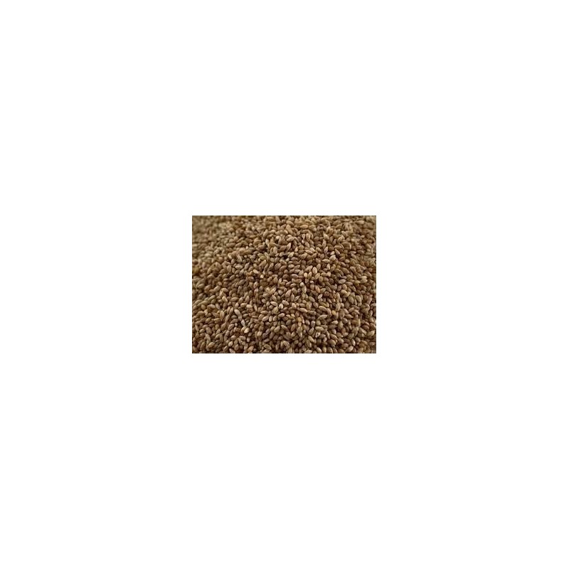 1 oz. Timothy Grass Seed Rabbit Wildife Grass Seed Food