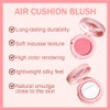 Powder Matte Blush Cheeks Face Makeup for Women With Mirror