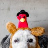 Midlee Pilgrim Turkey Thanksgiving Dog Headband