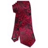 ROBERTO GABBANI Red and Black Paisley Tie Set for Men,
