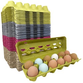 Paper Pulp Egg Cartons - Assorted Colors - 50 Pack
