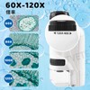 TVETE Microscope, For Children, Elementary School Students, Pocket Microscope, Zoom