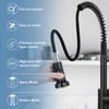 DJS Kitchen Faucets with Pull Down Sprayer Oil Rubbed Brozone