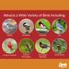 Lyric Cardinal Wild Bird Seed - Sunflower & Safflower Premium