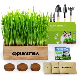 Organic Cat Grass Kit for Indoor Cats - 3 Pack with Cat Grass Seeds, Nutrient Soil & Planter Pots | Complete Growing Set for Fresh Pet Grass (Non-GMO Wheat Grass)